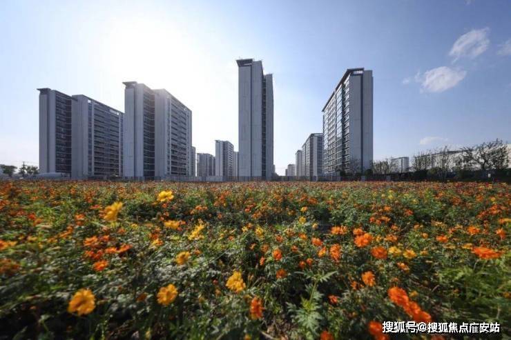 实景上线！价格地址详情可查即刻开启便捷看房开元棋牌app2026年尚湾林语新年开放(图11)