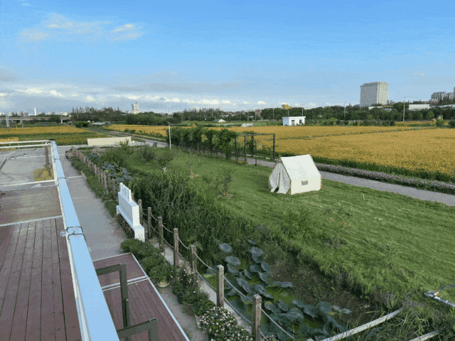 实景上线!价格地址详情可查即刻开启便捷看房开元棋牌app2026年尚湾林语新年开放(图12) 实景上线!价格地址详情可查即刻开启便捷看房开元棋牌app2026年尚湾林语新年开放(图12)